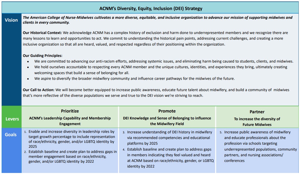 DEI Strategy